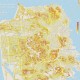 The Steeps Of San Francisco