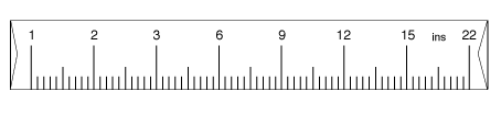 Penis Ruler